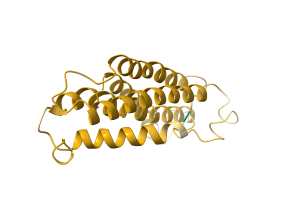 AF-A0A1B2NFD7-F1 image