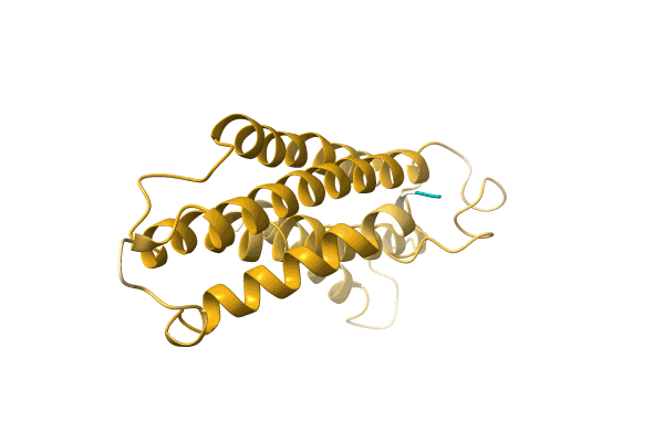 AF-A0A1B2NGK2-F1 image