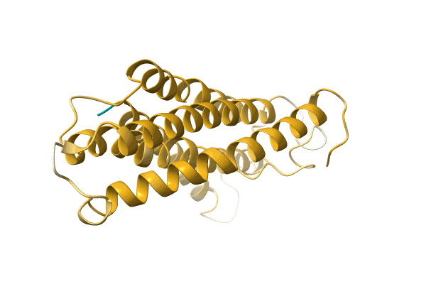 AF-A0A1B2NLG4-F1 image