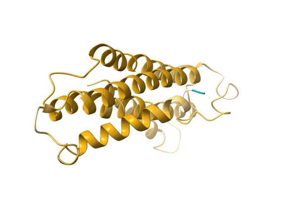 AF-A0A1B2NLS4-F1 image