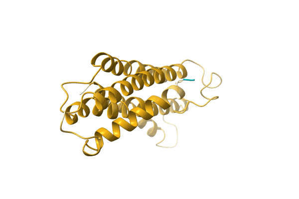 AF-A0A1B2NLZ7-F1 image