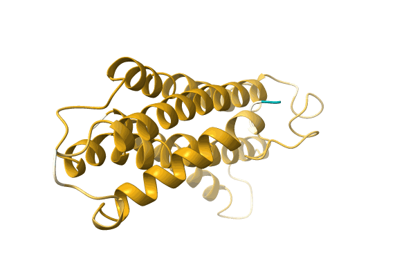 AF-A0A1B2NM25-F1 image