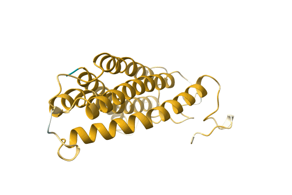 AF-A0A1B2NRE3-F1 image