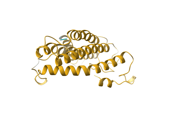 AF-A0A1B2NZV6-F1 image