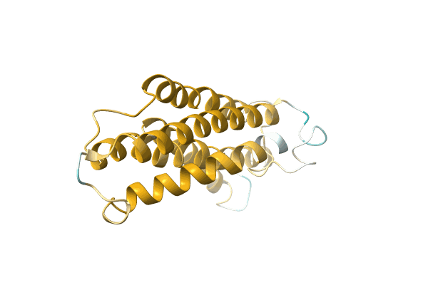 AF-A0A1B2P0C1-F1 image