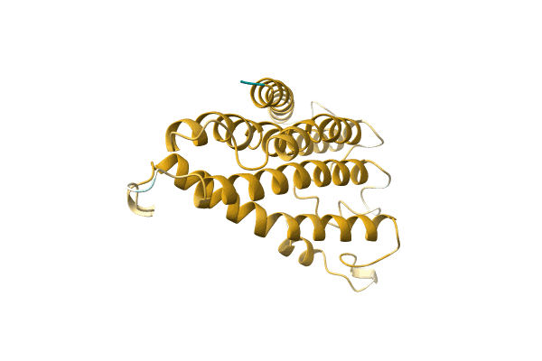 AF-A0A1B2P3B7-F1 image