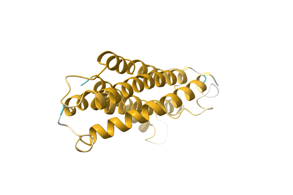 AF-A0A1B2P4N5-F1 image