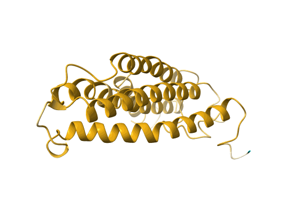 AF-A0A1B2P5W8-F1 image