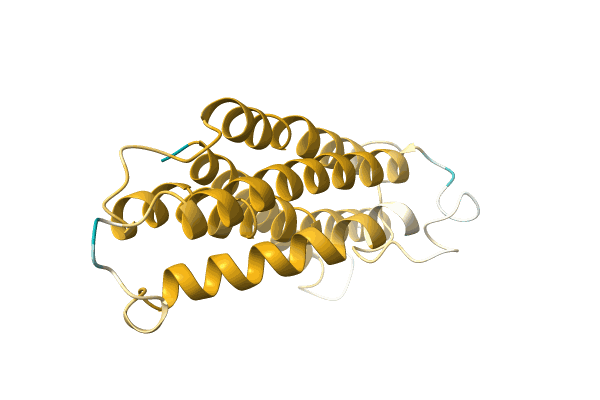 AF-A0A1B2P800-F1 image