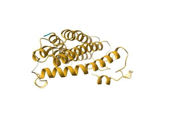 AF-A0A1B2P8C3-F1 image