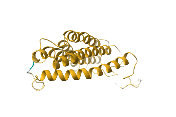 AF-A0A1B2P8J5-F1 image