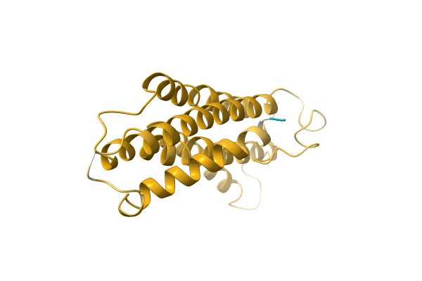 AF-A0A1B2P8P1-F1 image