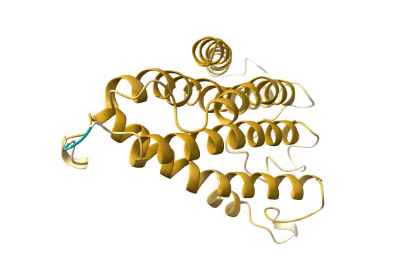 AF-A0A1B2P9X4-F1 image