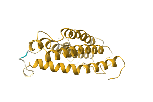 AF-A0A1B2PAI3-F1 image