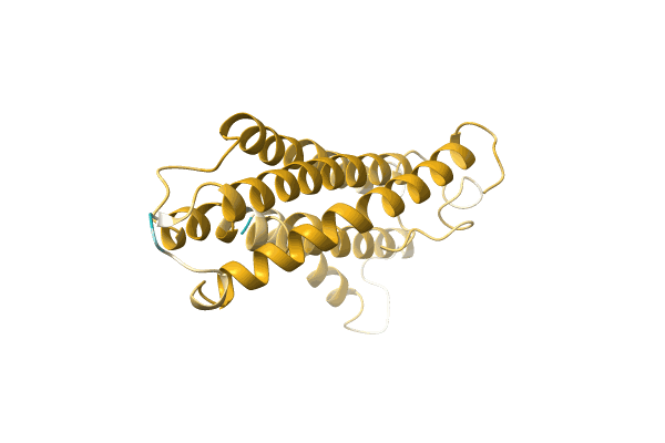 AF-A0A1B2PDT6-F1 image