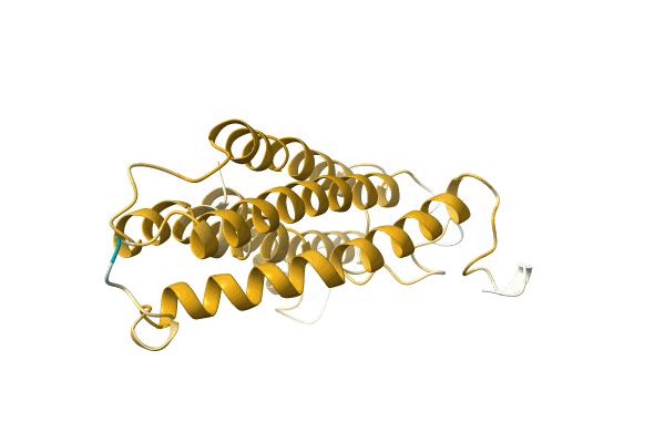 AF-A0A1B2PE16-F1 image