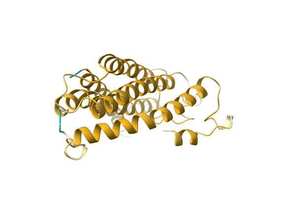 AF-A0A1B2PKP4-F1 image