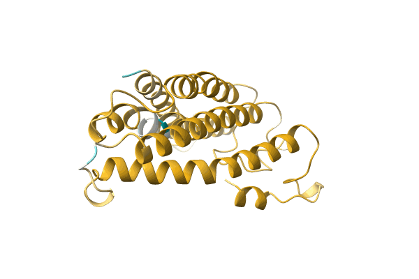 AF-A0A1B2PN17-F1 image