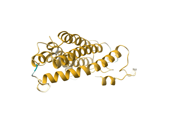 AF-A0A1B2PSQ5-F1 image