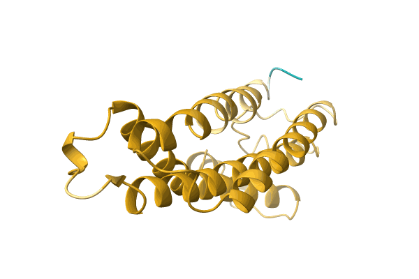 AF-A0A1B2PVC3-F1 image