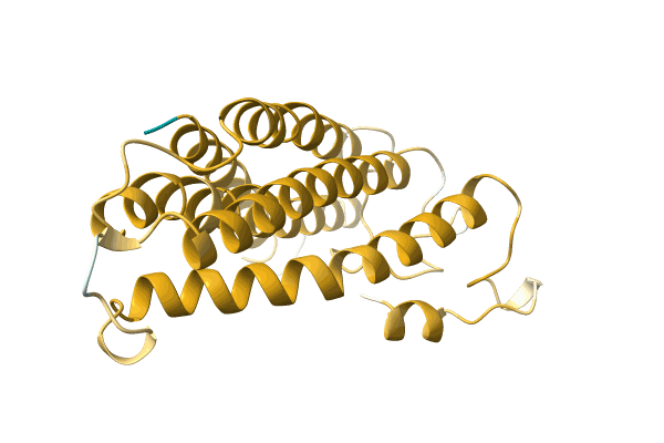 AF-A0A1B2REF7-F1 image