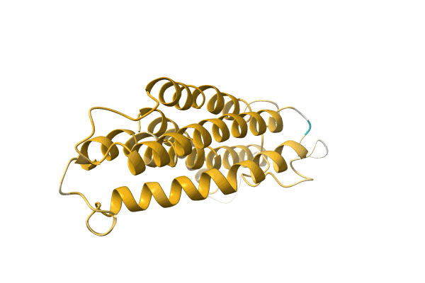 AF-A0A1B2WWX1-F1 image