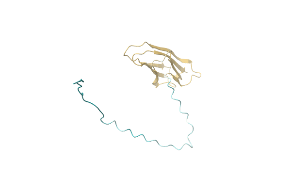 AF-A0A1B2XL59-F1 image