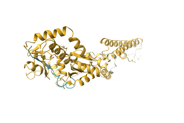 AF-A0A1B3P5I3-F1 image