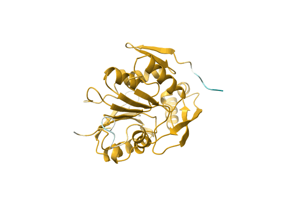 AF-A0A1B4XBG9-F1 image