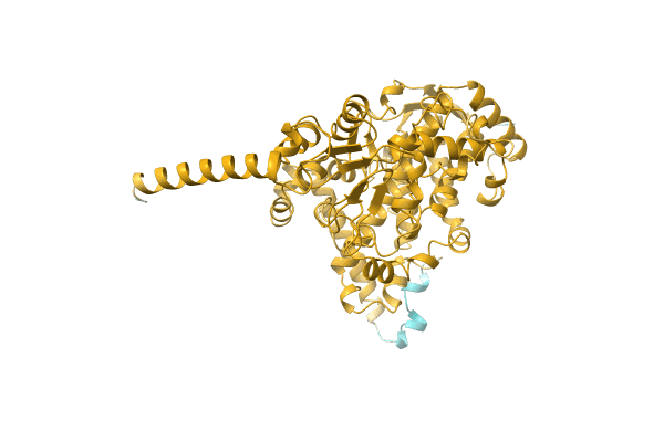 AF-A0A1B4XBH0-F1 image