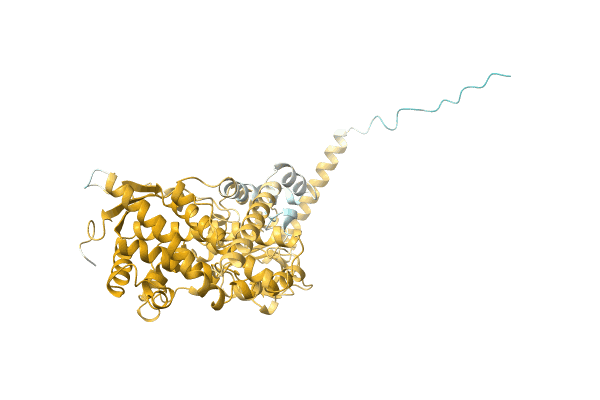 AF-A0A1B4XBH1-F1 image