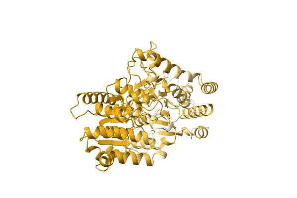 AF-A0A1B4XBH6-F1 image