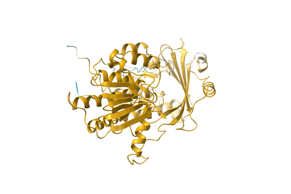 AF-A0A1B4XBH7-F1 image