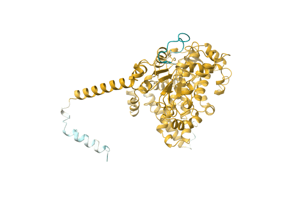 AF-A0A1B4XBH8-F1 image