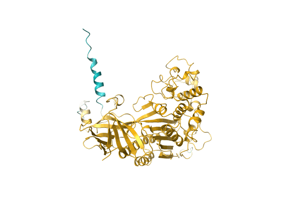 AF-A0A1B4XBI2-F1 image