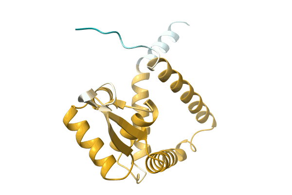 AF-A0A1B4Y5R5-F1 image