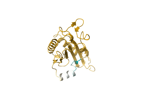 AF-A0A1B4YB73-F1 image