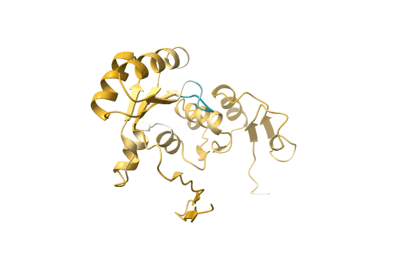 AF-A0A1B4YBF7-F1 image