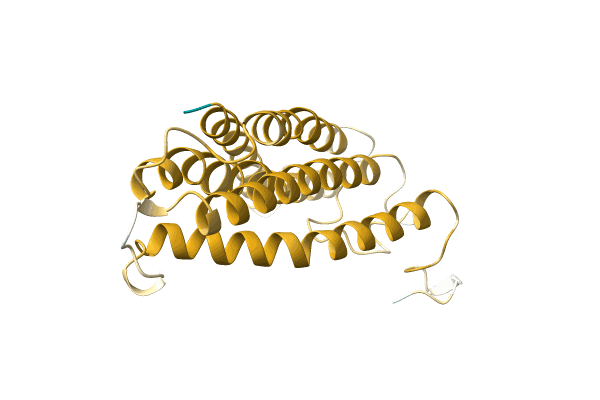 AF-A0A1B5B9R4-F1 image