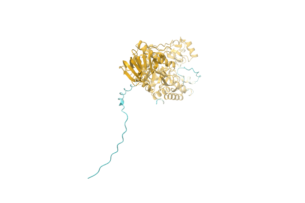 AF-A0A1B6ZAY6-F1 image