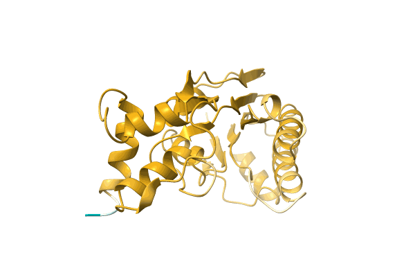 AF-A0A1B8X106-F1 image