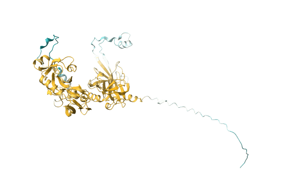 AF-A0A1C0SQ81-F1 image