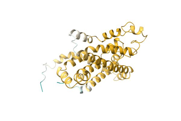 AF-A0A1C0STP4-F1 image