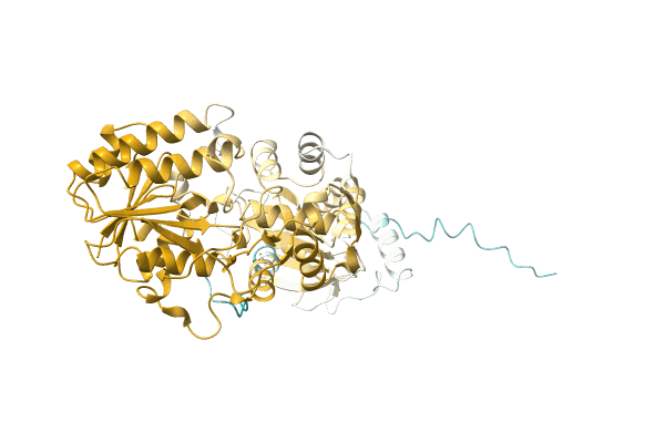 AF-A0A1C4MEA2-F1 image