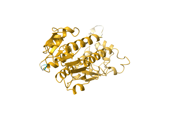 AF-A0A1C4MEA3-F1 image