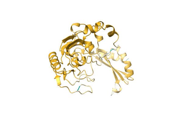 AF-A0A1C4MEA6-F1 image