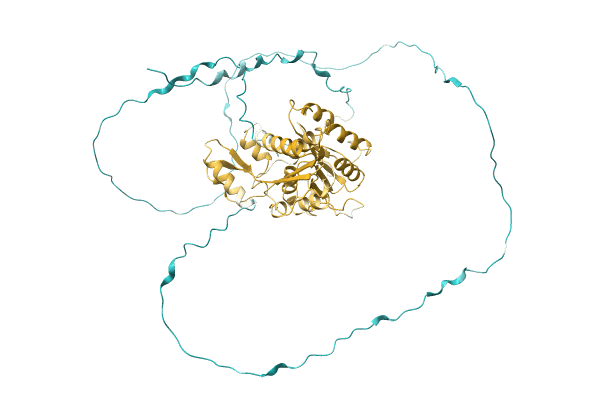 AF-A0A1C4MHV0-F1 image