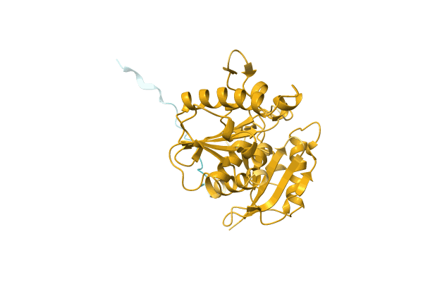 AF-A0A1C4NBF0-F1 image