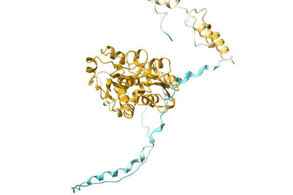 AF-A0A1C4NC07-F1 image