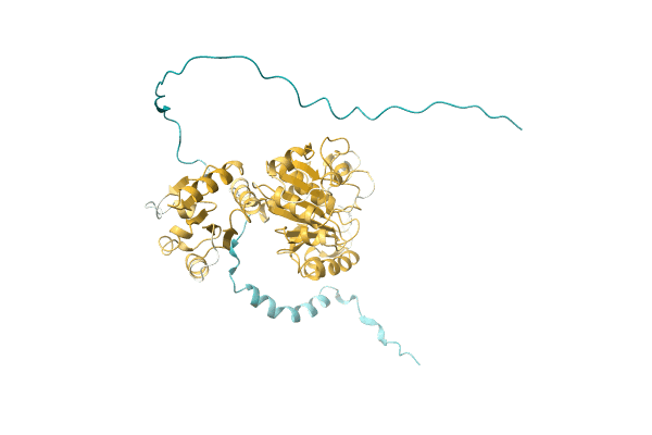 AF-A0A1C4NYN3-F1 image